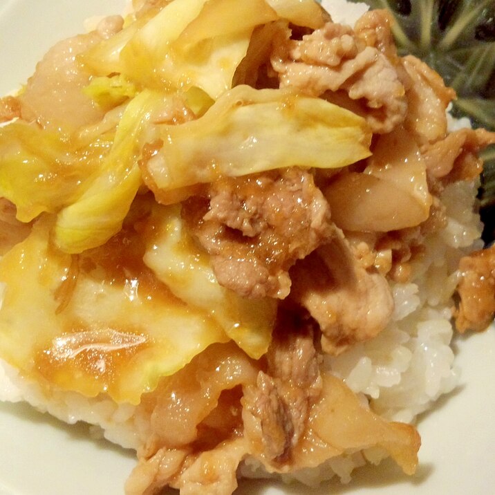 子供もぱくぱく オニオン豚キャベツ丼 レシピ 作り方 By おいしい母ちゃん 楽天レシピ 子供もぱくぱく オニオン豚キャベツ丼 レシピ 作り方 By おいしい母ちゃん 楽天レシピ